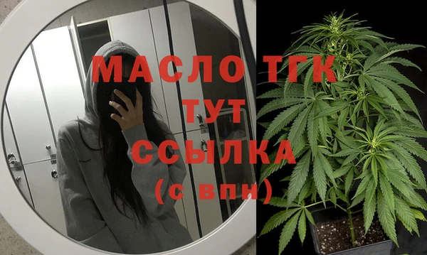 спиды Богородицк