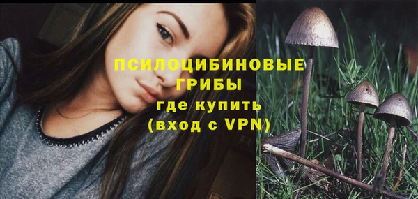 мяу мяу мука Богданович