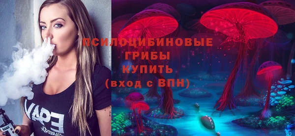 спиды Богородицк